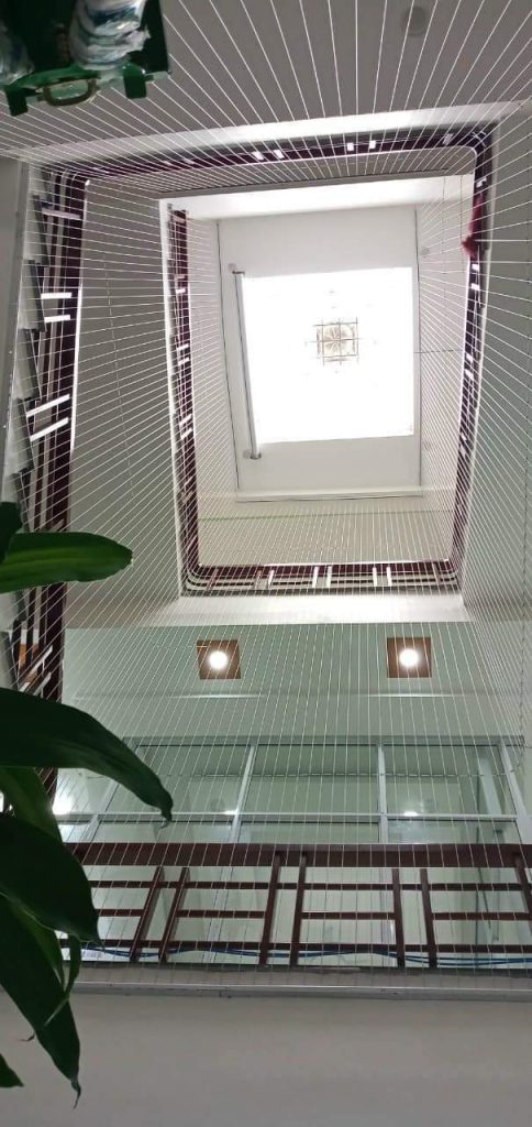 CÔNG TY TIM ĐỎ